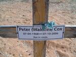 COX Peter 1968-2006
