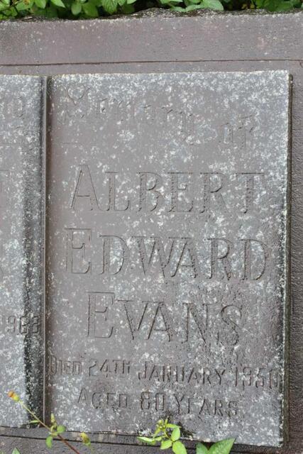 EVANS Albert Edward -1950