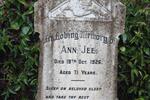 JEE Ann -1926
