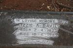 DAVIES Lizzie A. 1875-1949