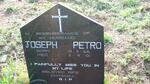 PETRO Joseph 1966-2001