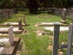 2. Overview of the relocated graves at the Heatherdale cemetery