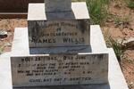WILLIS James 1845-1914