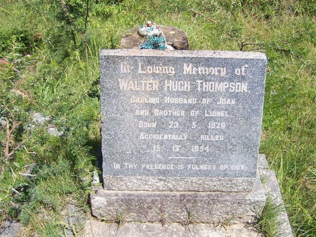 THOMPSON Walter Hugo 1926-1954