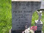 ROODT Pieter 1988-1995