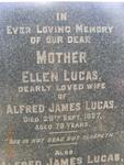 LUCAS Alfred James -1937 & Ellen -1927 :: LOVE Horace -1958