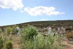 Western Cape, WORCESTER district, Touws River, Hartebeeste Kraal 36, Karoo Ostrich Farm, farm cemetery