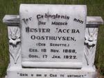 OOSTHUYSEN Hester Jacoba nee SCHUTTE 1868-1922