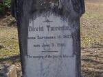 TWEEDIE David 1827-1918