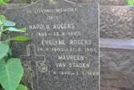 ROGERS Harold 1898-1960 & Evelyne 1900-1985 :: VAN STADEN Maureen 1940-1986 