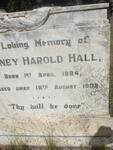 HALL Sydney Harold 1884-1938