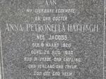 HATTINGH Anna Petronella nee JACOBS 1928-1952