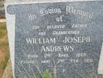 ANDREWS William Joseph 1868-1951