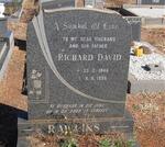 RAWLINS Richard David 1946-1986