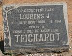 TRICHARDT Lourens J. 1893-1961