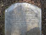 SELBY David -1880