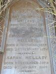 HELLABY Amy Josephine 1877-1878 :: HELLABY Edward Thomas 1878-187? :: HELLABY Sarah 1879-1880 
