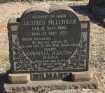 WILMANS Jacobus Melchigor 1885-1937 & Cornelia Martha Maria 1887-1974