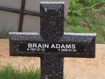ADAMS Brain 1947-2009