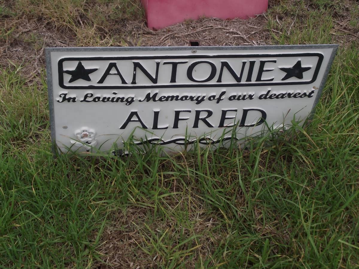 ANTONIE Alfred 1943-2002