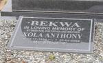 BEKWA Xola Anthony 1950-2004