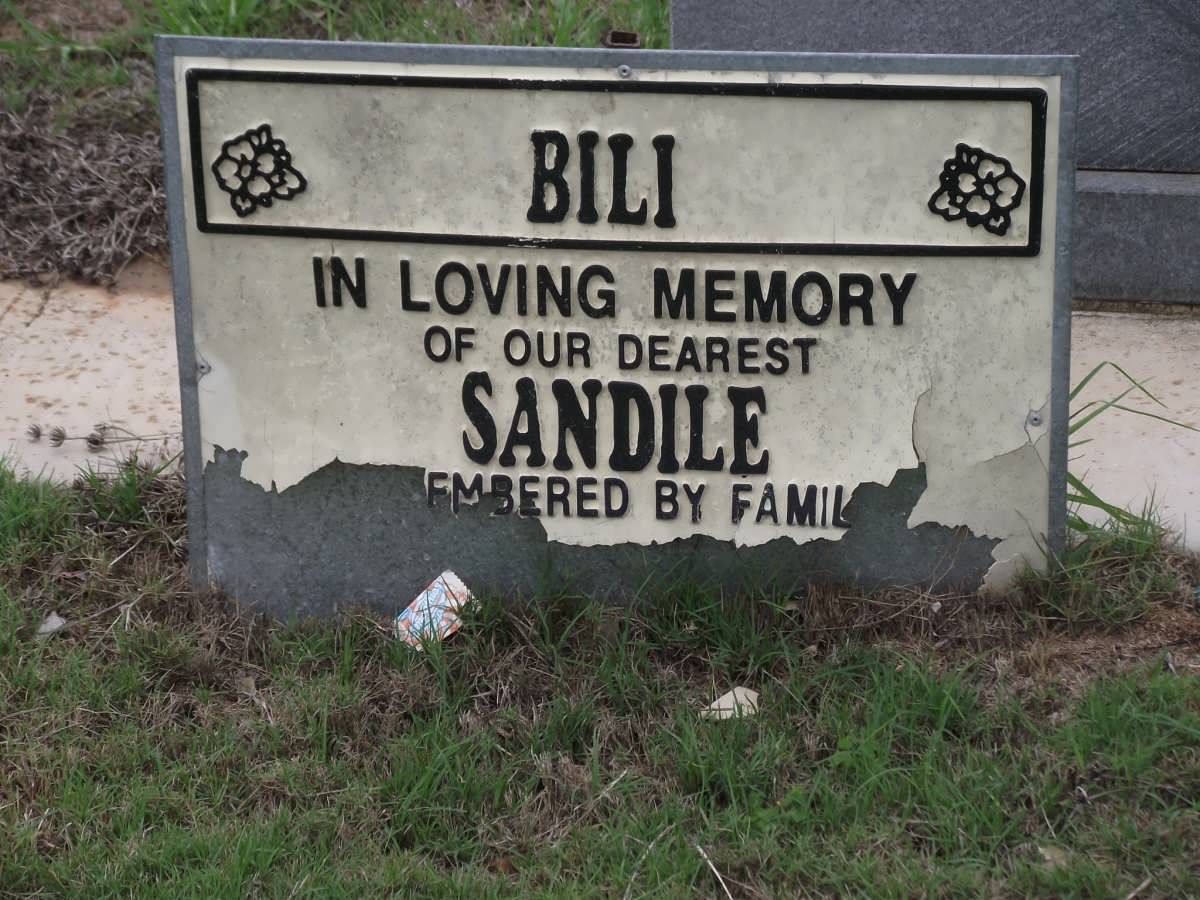 BILI Sandile 1958-2004