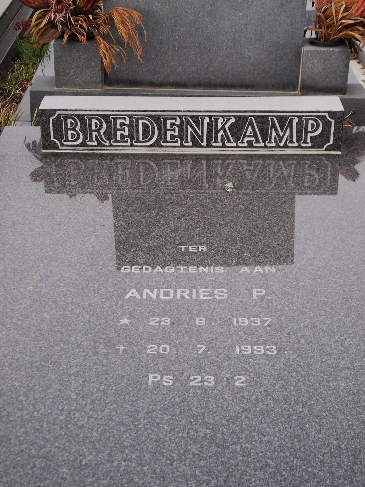 BREDENKAMP Andries P. 1937-1993