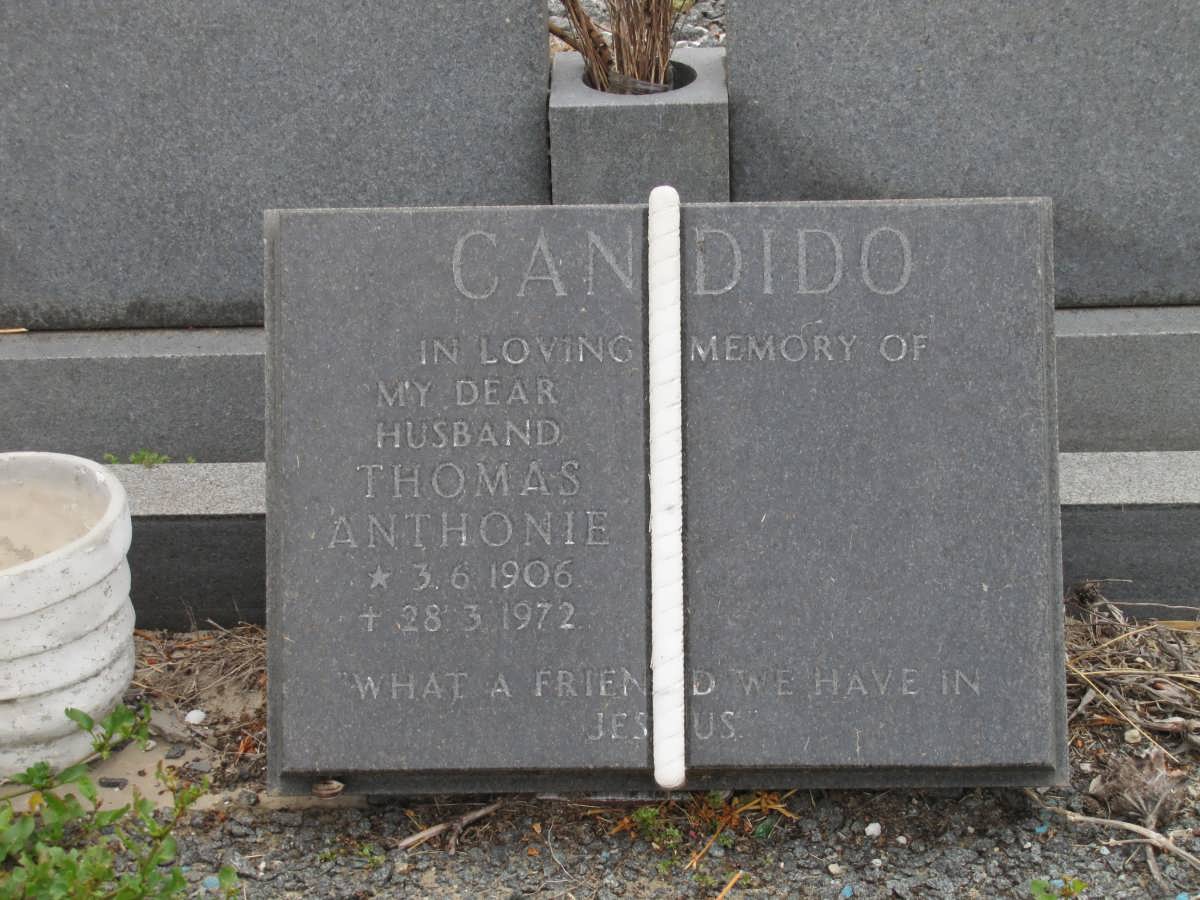 CANDIDO Thomas Anthonie 1906-1972