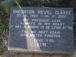 CLARKE Sheunton Revel 1960-2000