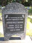 ARENDSE America Billy 1938-1995