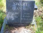 SWART Leandro 1985-1995