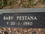 PESTANA Baby -1980