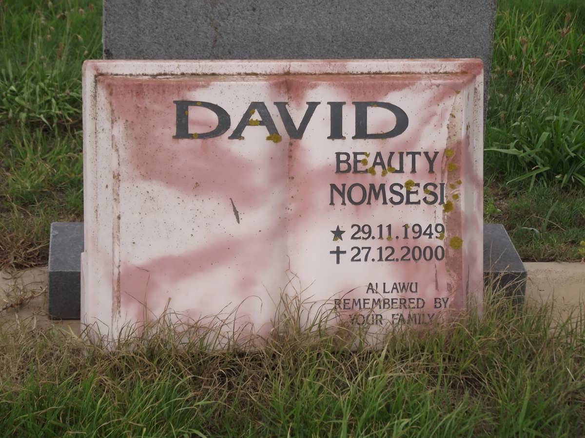 DAVID Beauty Nomsesi 1949-2000