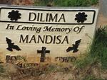 DILIMA Mandisa 1978-2008