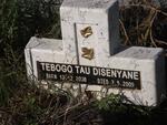 DISENYANE Tebogo Tau 2008-2009