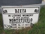 DZEYA Nontutuzelo 1977-2005