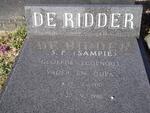 RIDDER S.F., de 1910-1988