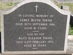 FERNIE James Blyth -1966 & Alice Eleanor -1972