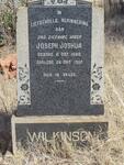 WILKINSON Joseph Joshua 1880-1957