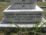 PATTISON Harry Arthur -1896