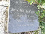 DIBBS John William 1878-1958