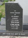 GALADA Mncedisi 1955-2007