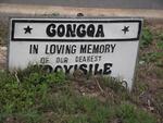 GONGQA Ndoyisile 1964-2003