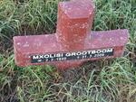 GROOTBOOM Mxolisi 1949-2009