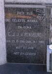 RENSBURG C.J.J., v. 1918-1989