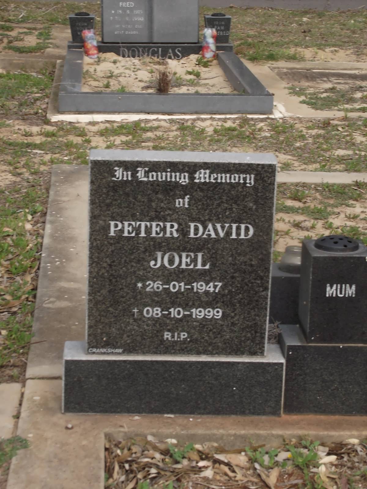 JOEL Peter David 1947-1999