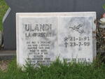 LAMPRECHT Ulandi 1991-1999