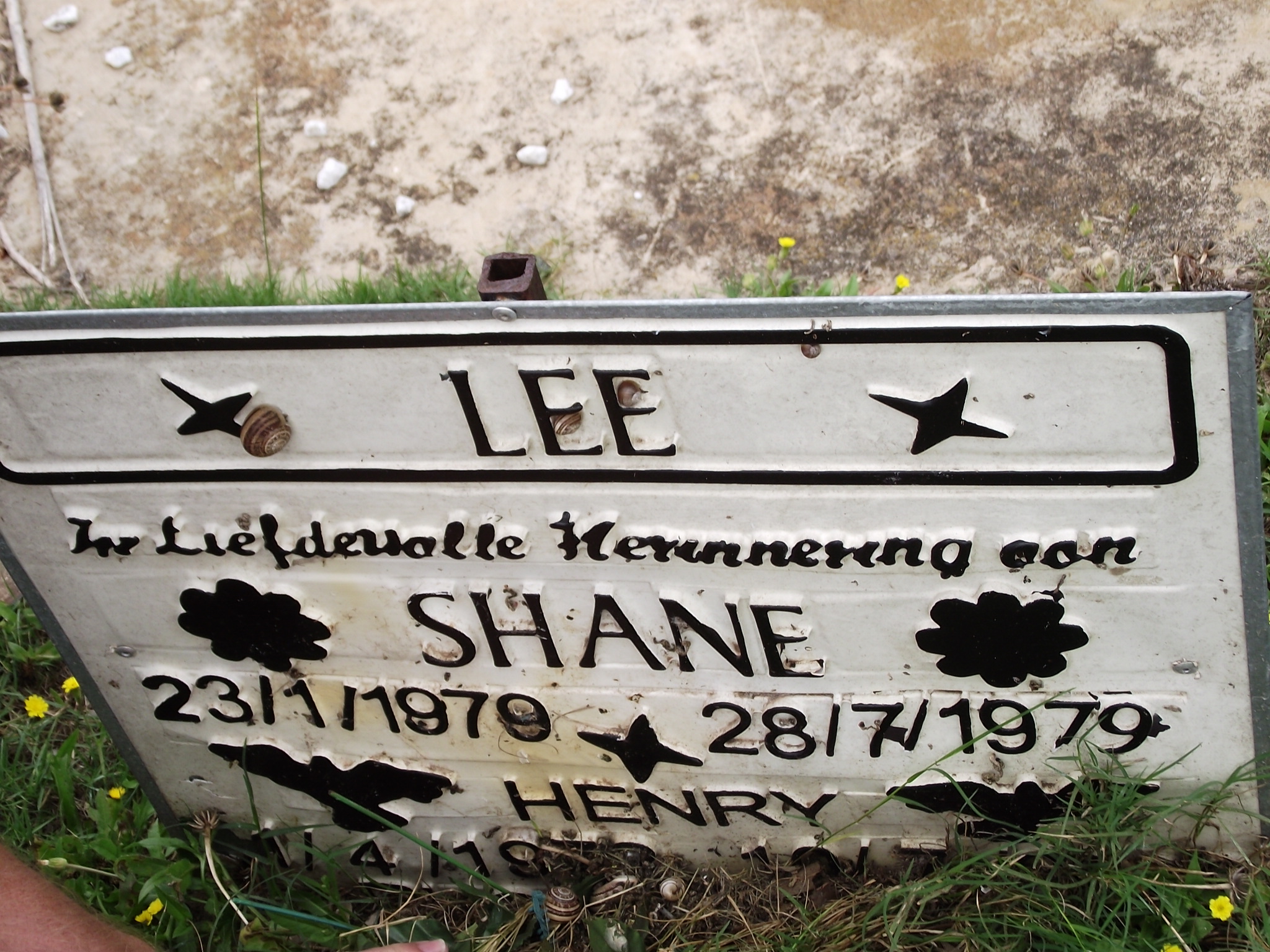LEE Shane 1979-1979 :: LEE Henry 1972-2008