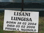 LISANI Lungisa 2004-2006