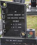 LUKIC Gojko 1944-1996